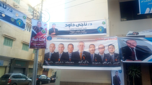 انتخابات نقابة الصيادلة