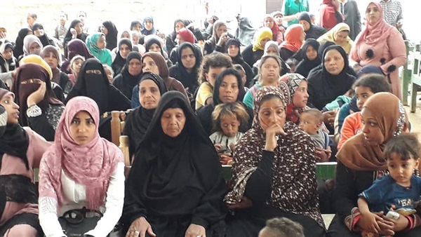 الاستفتاء على التعديلات