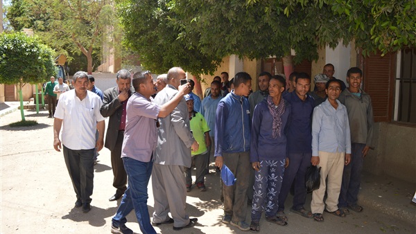 لجان سوهاج على استفتاء