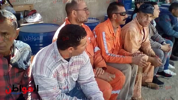 لجان الاستفتاء ببورسعيد