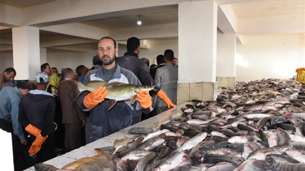 أسعار السمك غدا