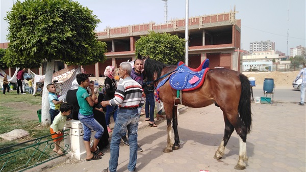 «ركوب الخيل».. مصدر