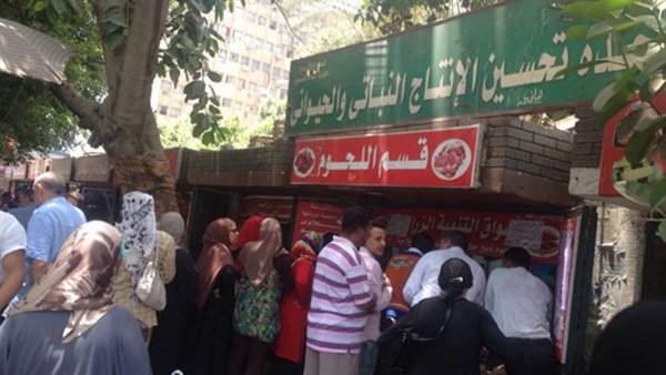أسعار السلع الغذائية