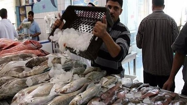 أسعار السمك غدا الجمعة