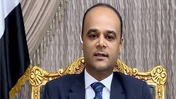 نادر سعد، المتحدث
