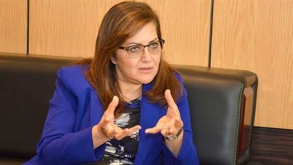 وزيرة التخطيط