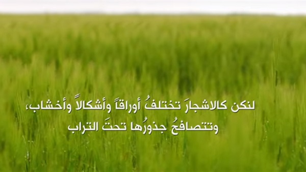 زين