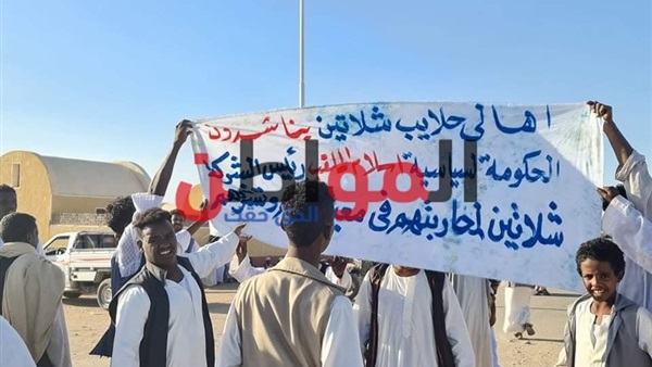المواطن