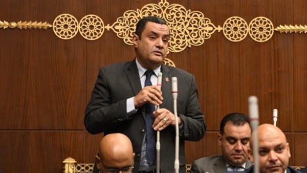النائب أكمل نجاتى