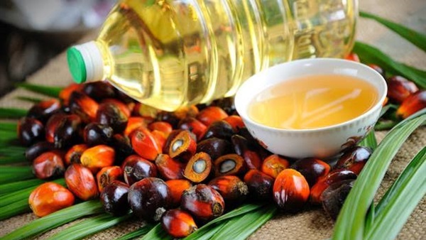 زيت النخيل