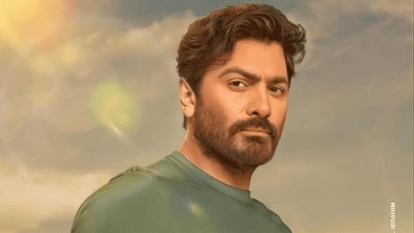 تامرحسني