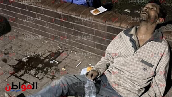 محمود مخلوف