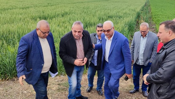 الزراعة تتابع مساحات