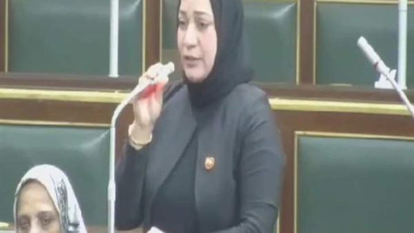 النائبة صفاء جابر