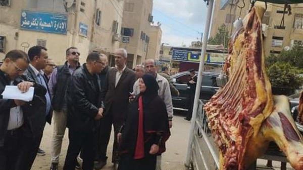 محافظ الشرقية يتفقد