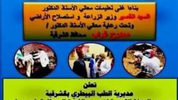 انطلاق الحملة القومية
