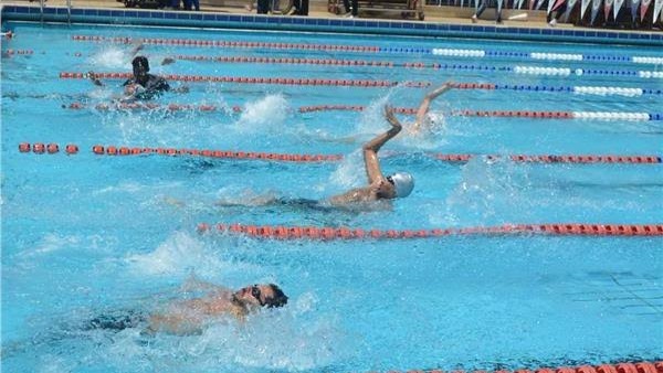 بطولة كأس مصر لسباحة