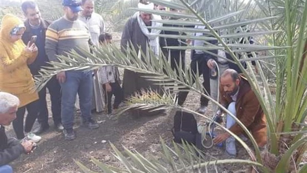 زراعة الشرقية تواصل