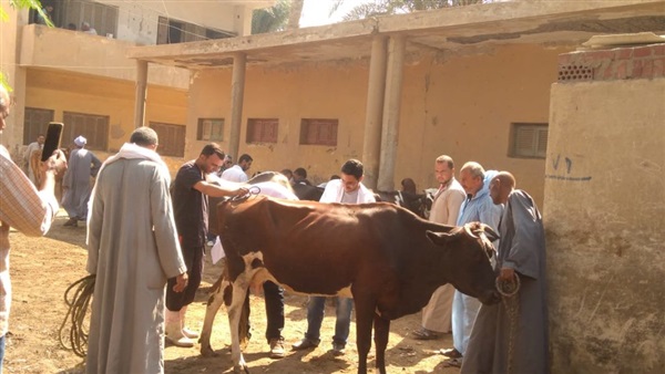 القوافل البيطرية