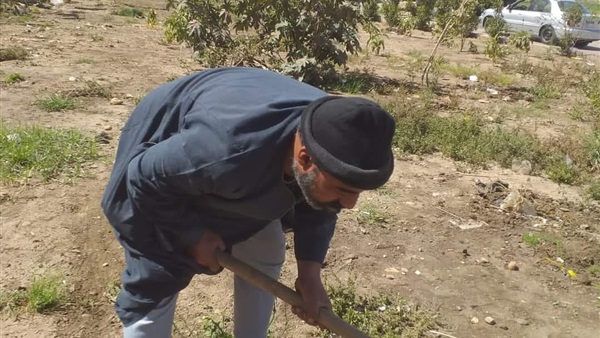زراعة 100 مليون شجرة