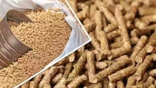 أسعار الأعلاف