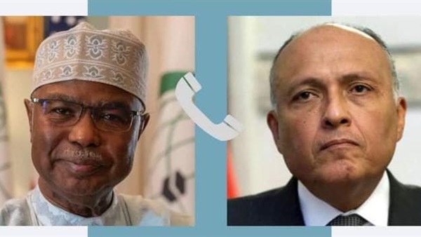 الخارجية ومنظمة التعاون