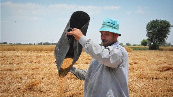 صوامع البحيرة تستقبل