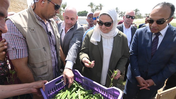 وزيرة التضامن الاجتماعي