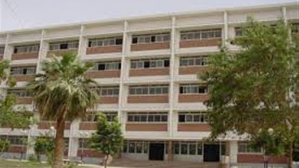 اب المنيا
