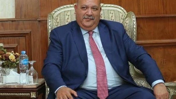 محمد عادل حسني