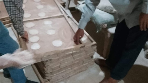 محاضر المنيا لضبط