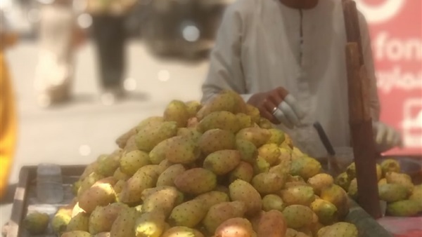 بائع التين الشوكي