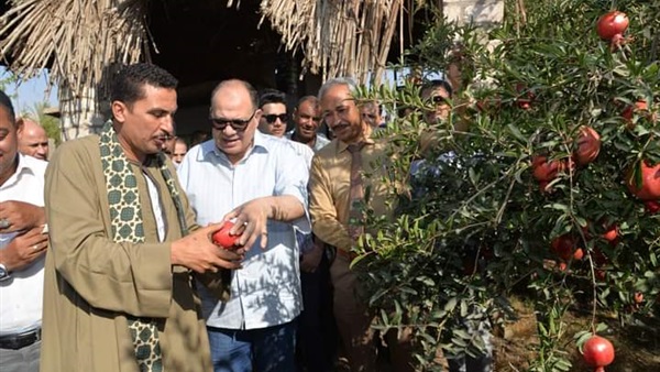 محافظ أسيوط