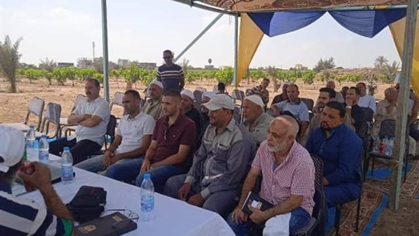 الشرقية