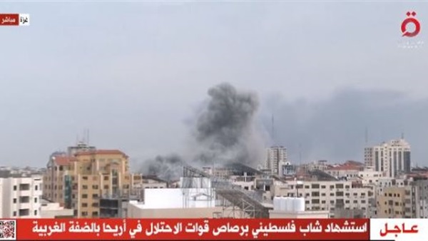 المواطن