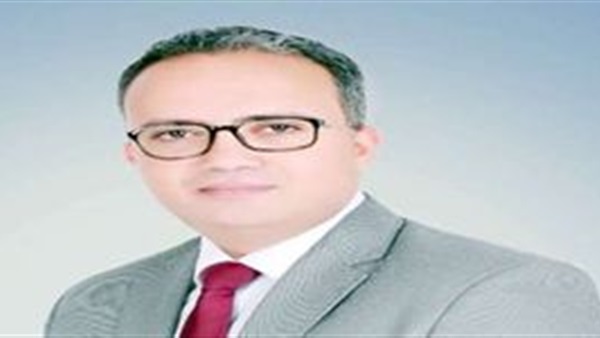 هاني حافظ