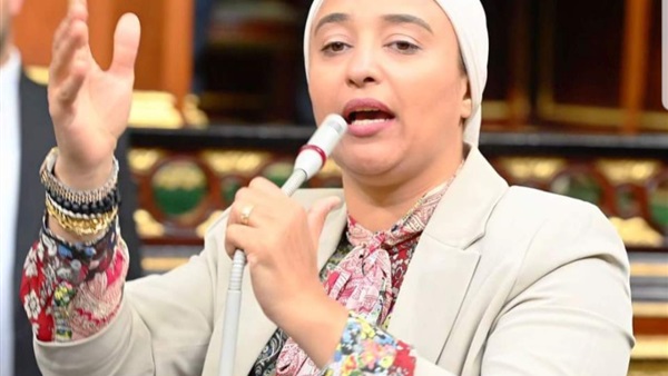 النائبة أميرة أبو