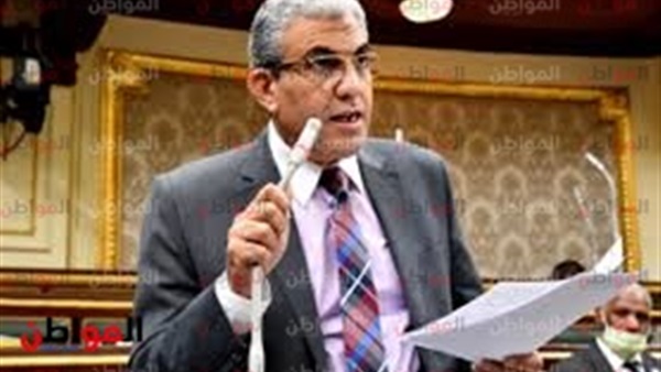 عادل عبد الفضيل