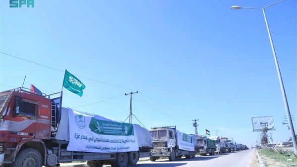 المواطن