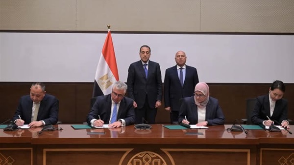 المواطن