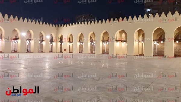 المواطن