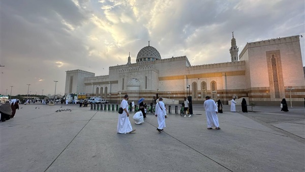 المواطن