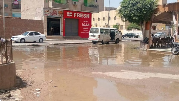 المواطن
