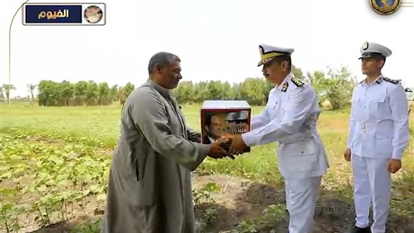 المواطن