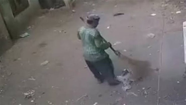 المواطن