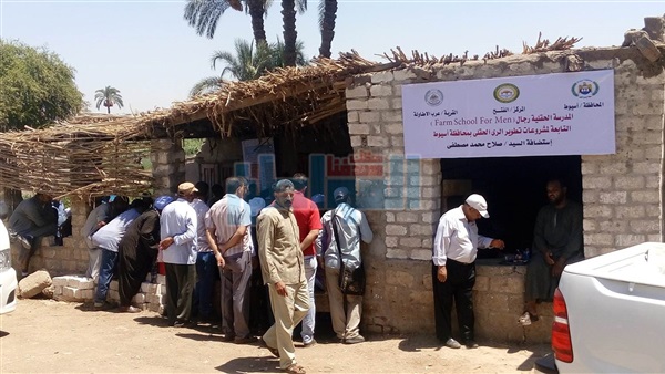 المواطن