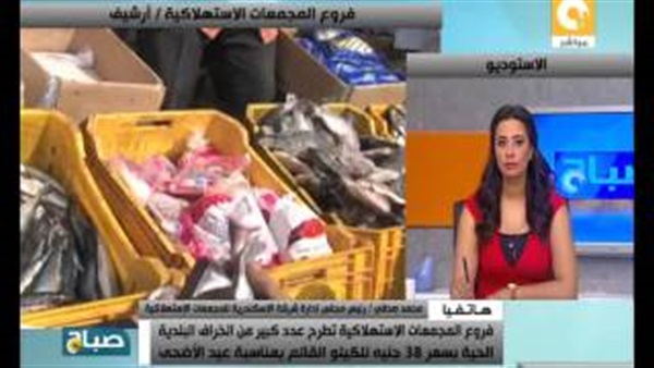 المواطن