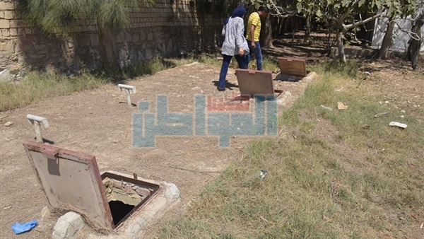 المواطن