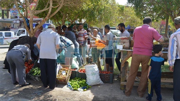 المواطن