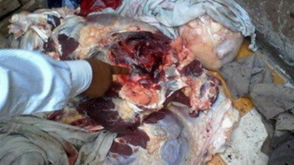 ضبط طن لحوم فاسدة